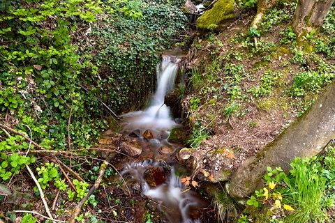 Bach im Wald