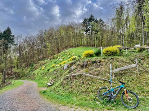 Fahrrad auf einem Feldweg