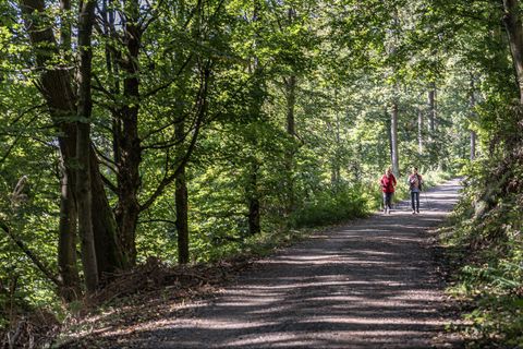 Wandertag